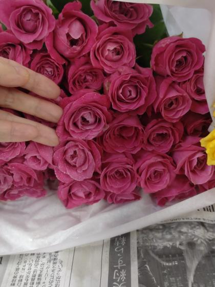 生花】バラ オール4ラブ+(濃い目パープルピンク)【OT】 - 花材通販は