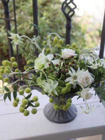 生花】関島園芸:SPカーネ ラスカルグリーン秀65cm【IT-24】 - 花材通販