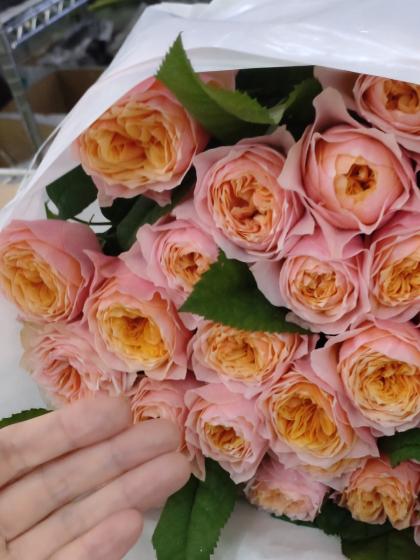 直前】バラ コーラルハート(ピンキーオレンジ) - 花材通販はなどんや