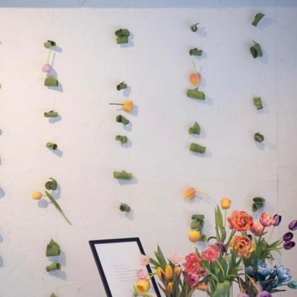 生花】チューリップ(八重白)ノースキャップなど【OT】 - 花材通販は