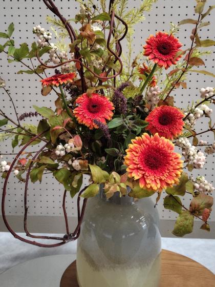 生花】赤づる(2L)束約20本※ドライの状態です 【早締切】 - 花材