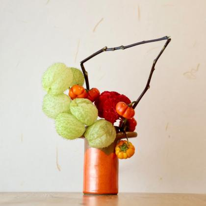 08直前】国産ユーカリ アップルボックス 50cm程度 JA会津 - 花材通販は