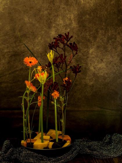 リコリス　オーレア　特大級2球 直径約6.5〜7.5 リコリス オーレア 特大級2球 直径約6.5〜7.5ブランド