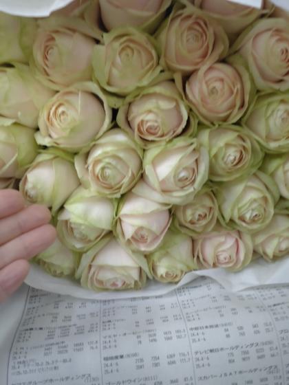 生花】バラ アムールピンク+(淡いピンク ロゼット)クニエダ※入荷少量
