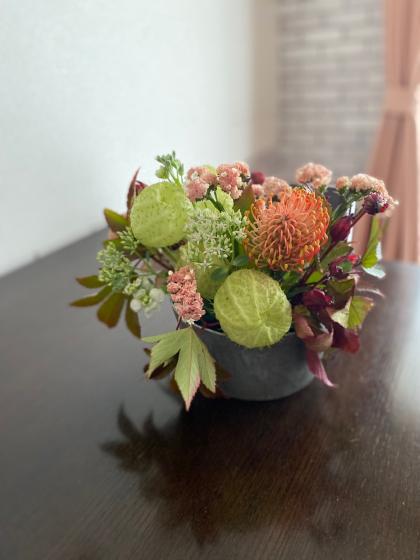 直前】スプレーストック(白)60cm〜【OR-5】 - 花材通販はなどんやアソシエ