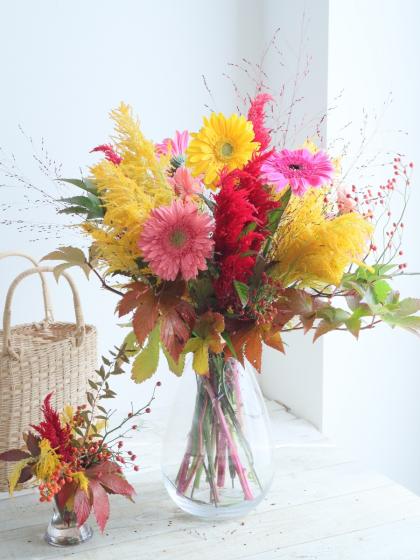 直前】【さぎやま】大輪ガーベラ 大輪バラエティMix - 花材通販はなど