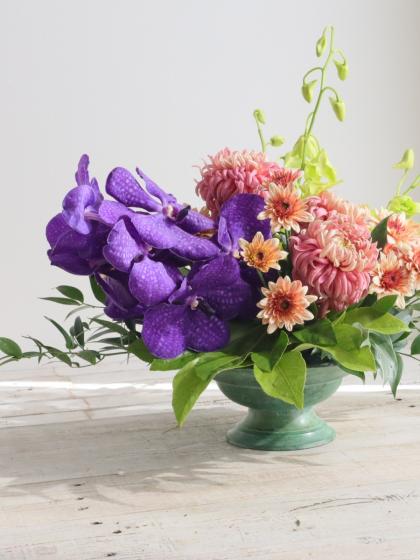 生花】デンファレ(グリーン系おまかせ)※入荷少【早締切-74】 - 花材