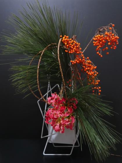 生花/即納】大王松 芽 - 花材通販はなどんやアソシエ