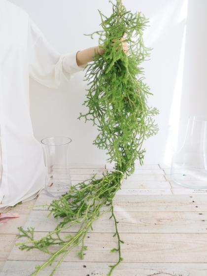 直前】【生花】ヒカゲカズラ ロング(80cm〜)静岡、和歌山など ※木金
