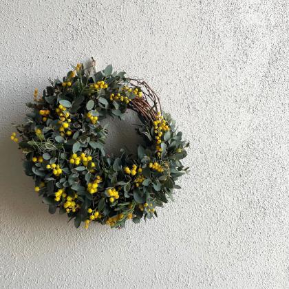 生花】輸入ミモザ ミランドール等 束単位(小枝含む束 2～5本程度)早