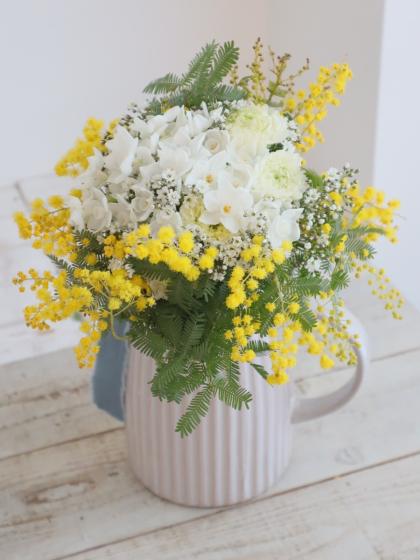 生花】国産 銀葉ミモザアカシア(花)40cm程度 長作園 大井川農協など
