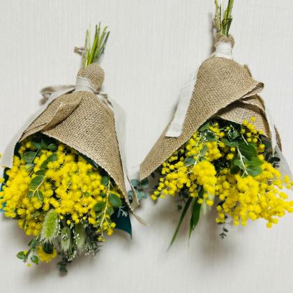 08直前FJ】【生花】真珠葉ミモザアカシア(花)30-40cm 国産【早締切-71