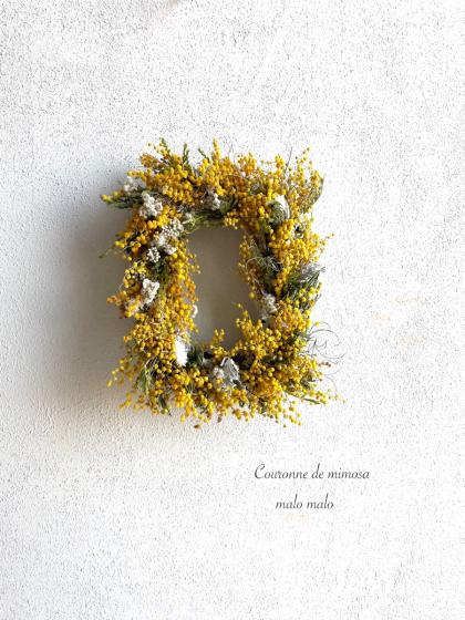生花】国産 銀葉ミモザアカシア(花)40cm程度 千葉県など 【OR-13