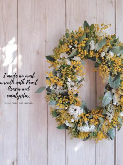 生花】パールアカシア 50センチ ☆ミモザアカシア - 花材通販はなどん