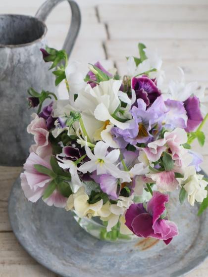 生花】JA福島さくら パンジー (ピンク系)シュシュ【FJ】 - 花材通販は