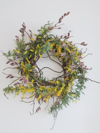 ミモザアカシア 生花 生花】銀葉ミモザアカシア(花) 50cm 国産【早締切-71】 - 花材通販は