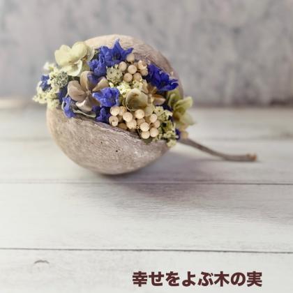 生花】ペッパーベリー(ブリーチ・白) ≪PL≫ - 花材通販はなどんやアソシエ