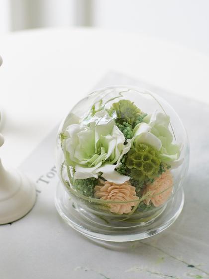 クレイ/mini dome CLEAR/777-191-000 - 花材通販はなどんやアソシエ